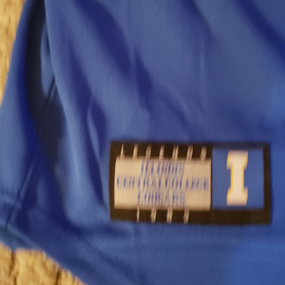 Throwback Central Illinois Baseball Jersey - image 3